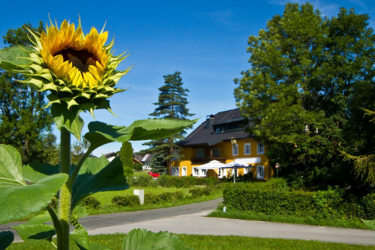 Landgasthof Zum Betenmacher Thalgau Bagian luar foto